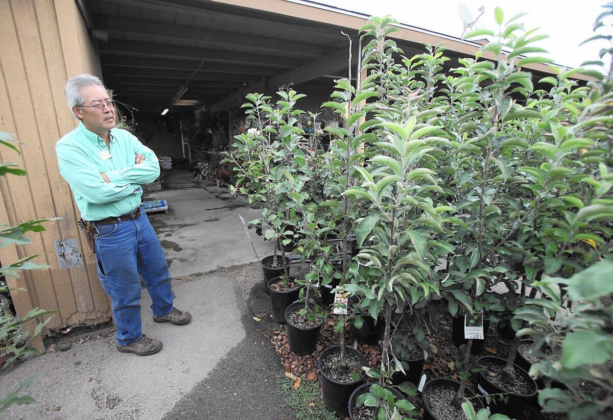 Gary Matsuoka talks about the variety of apple trees he grows at his Laguna Hills Nursery in Santa Ana.