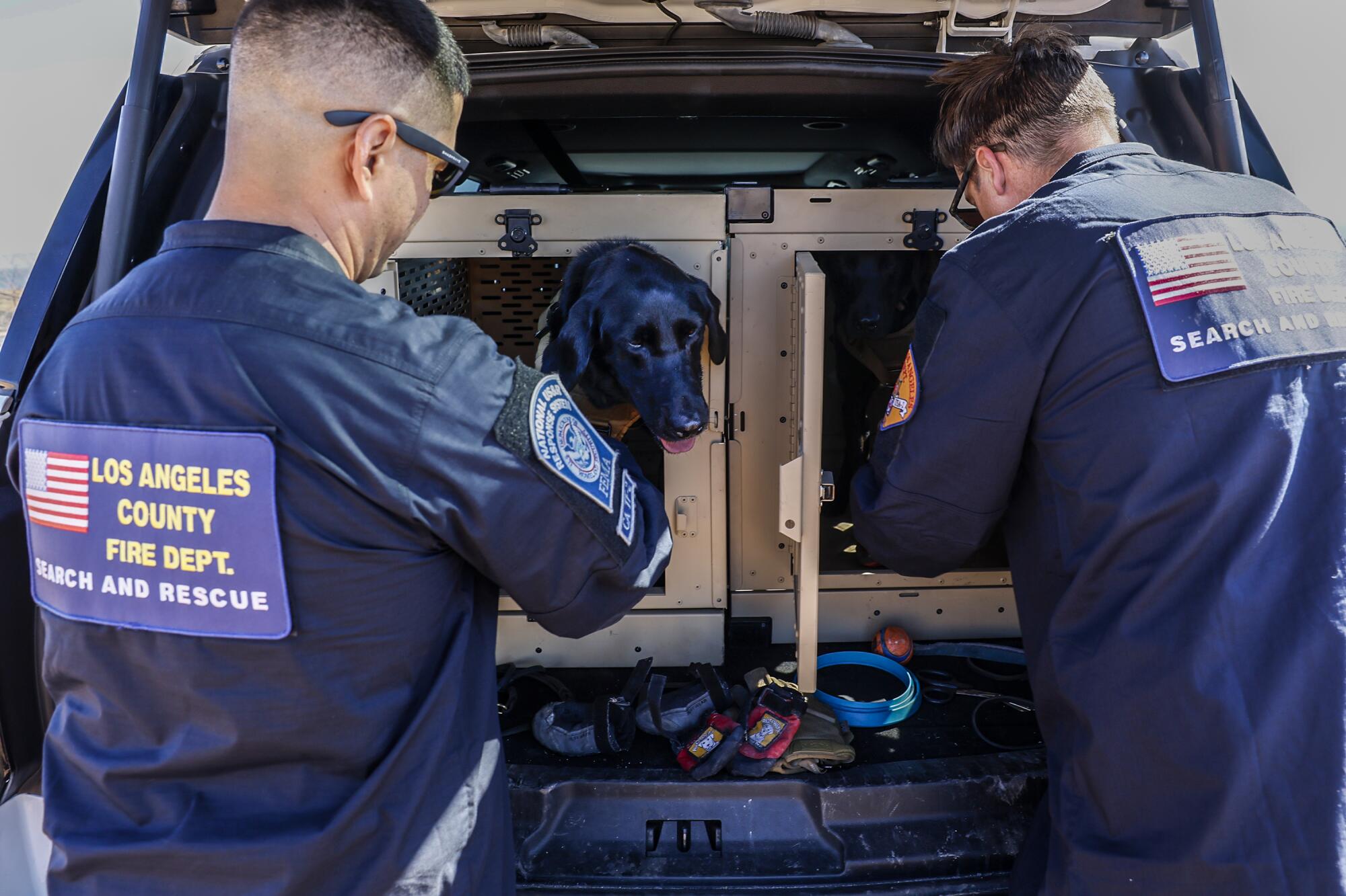 Search-and-rescue team members help two dogs into crates.