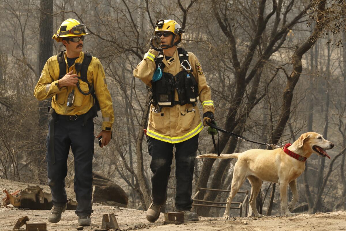 Margaret Stewart, center, and Ben Arnold along with working dog Veya, search rural Butte County for victims.
