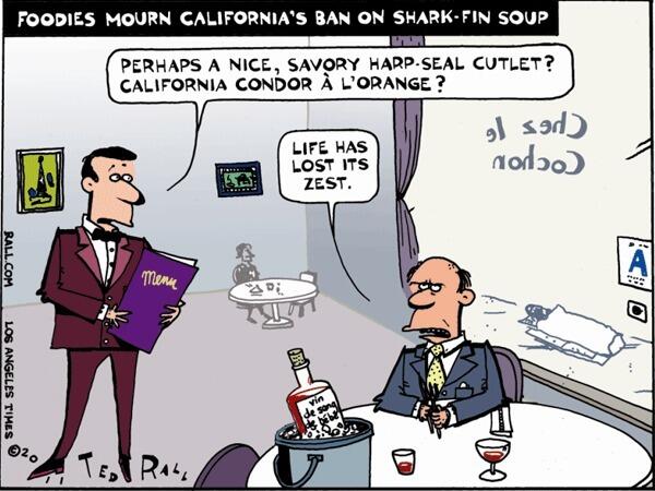 Foodies mourn California's ban on shark fin soup