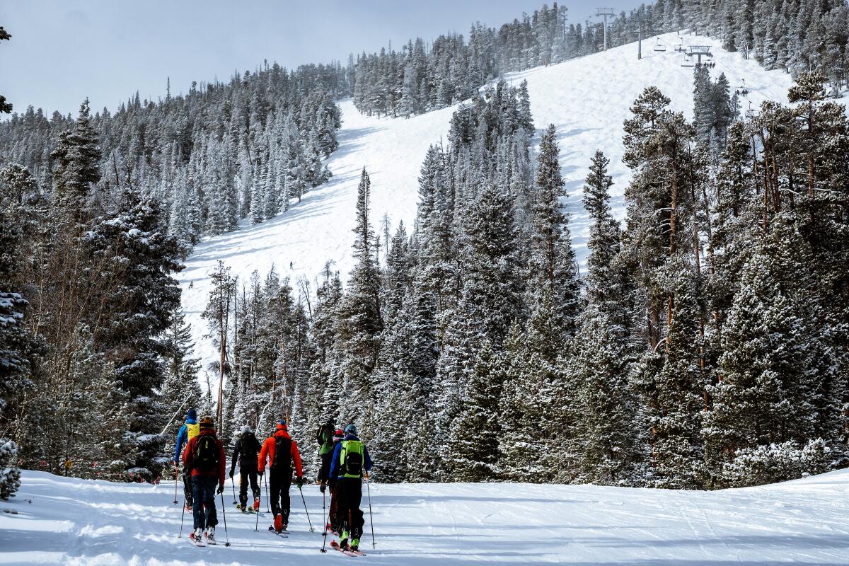 Uphill skiers hit the slopes last year at Eldora Mountain Resort outside Boulder, Colorado.