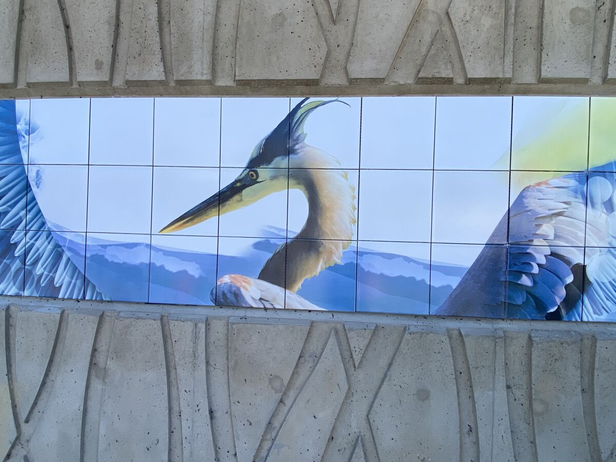 Great Blue Heron closeup, Southeast panel.