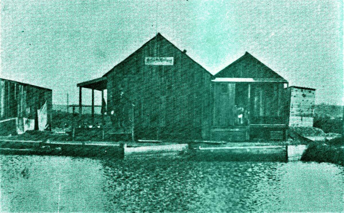 The Hotel de Mallard was one of the shacks at Duckville, a tiny community on the salt marsh of False Bay (Mission Bay).