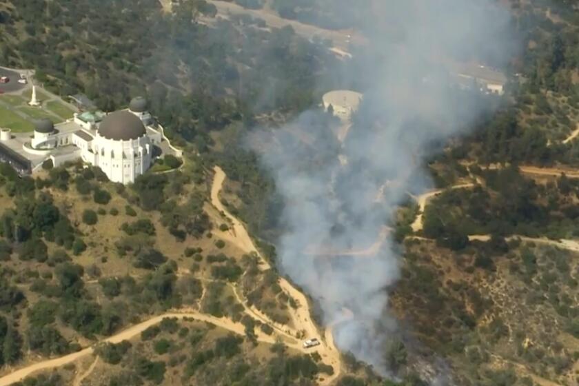 Brush fire burns near Griffith Observatory, prompting evacuation of landmark and hiking trails on Tuesday May 17, 2022.