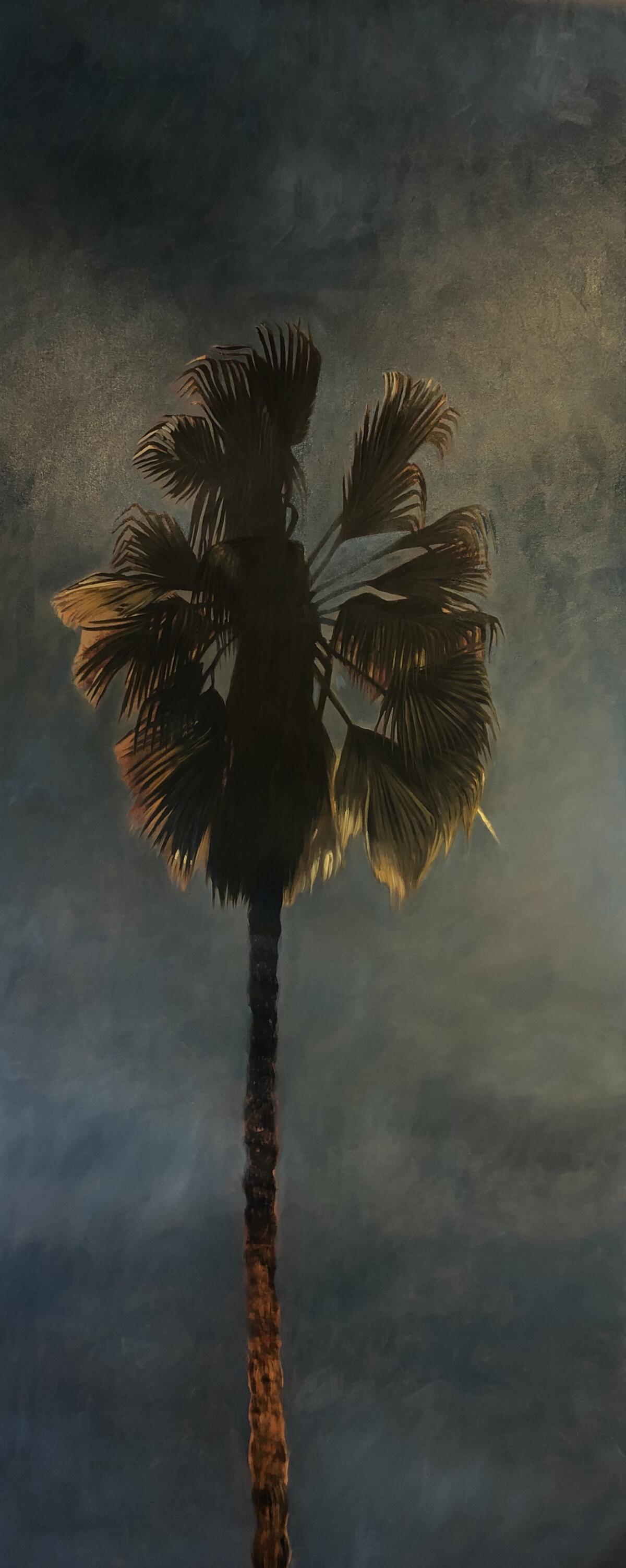 Palm Tree at Sunset by Perry Vásquez
