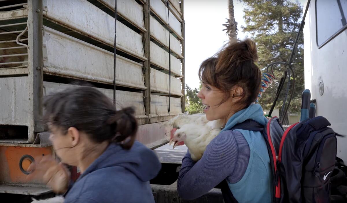 Two women are shown carrying chickens past a large truck.