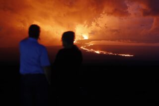 Espectadores contemplan el flujo de lava en la erupción dek volcán Mauna Loa, cerca de Hilo, Hawai, 29 de noviembre de 2022. (AP Foto/Marco Garcia)