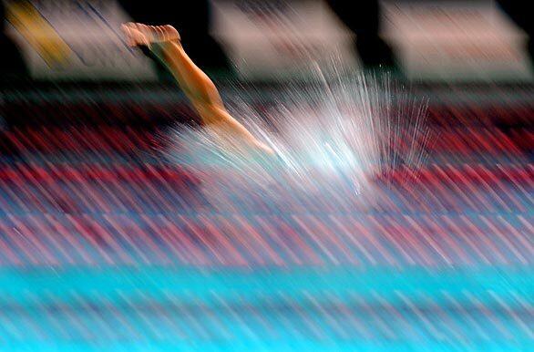 A competitor dives into the pool during a men's semifinal swimming heat at the 2009 Modern Pentathlon World Championships in London.