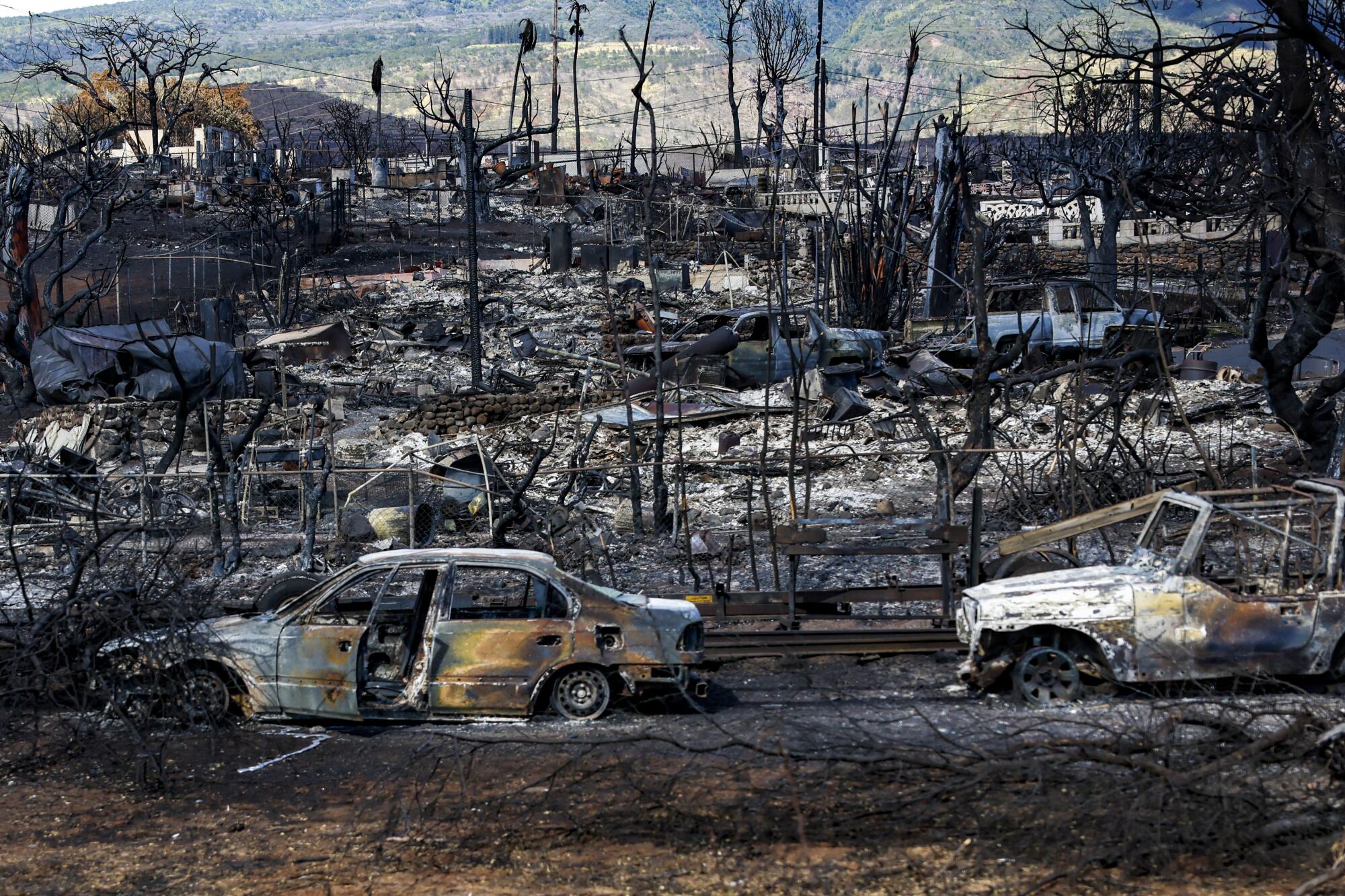 Two burned cars are surrounded by ash and rubble.