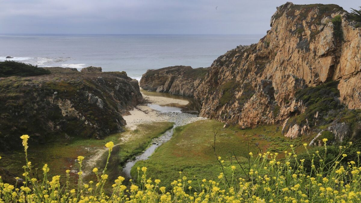A scenic view of Garrapata State Park in Carmel-By-The-Sea.