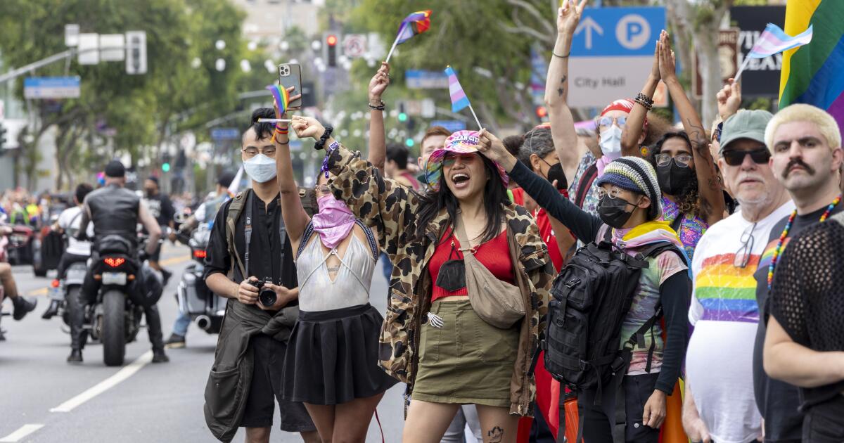 Images: The Annual WeHo Delight Parade