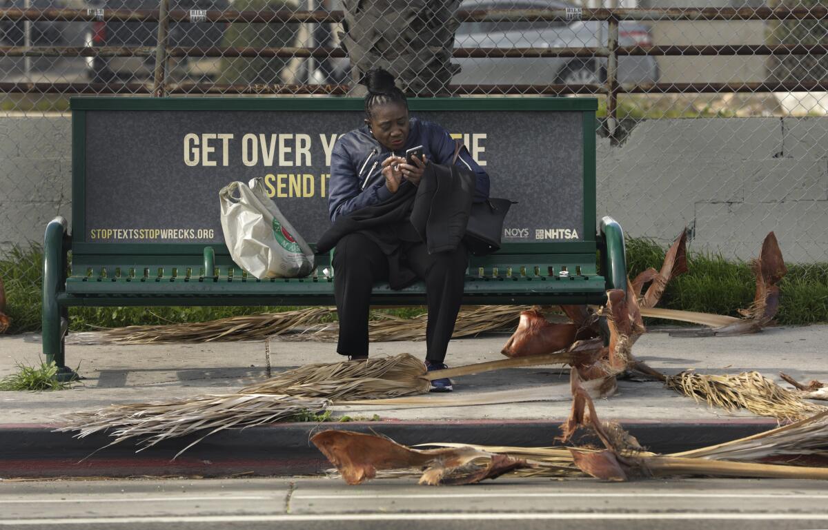 A woman is surrounded by palm fronds while waiting for the bus in San Pedro