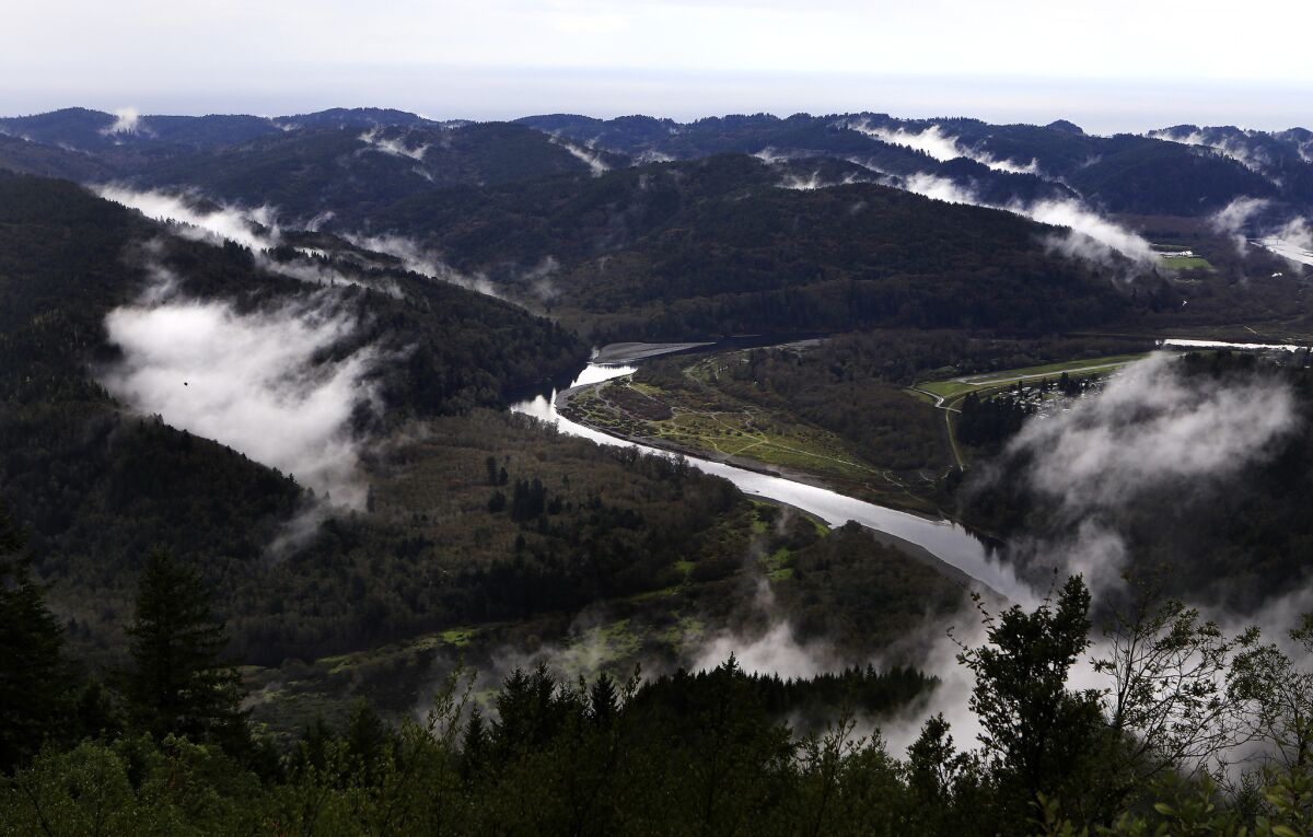 Mist rises after a recent rain along the Klamath River in Northern California, where the Yurok tribe is managing acres of forest for carbon storage.