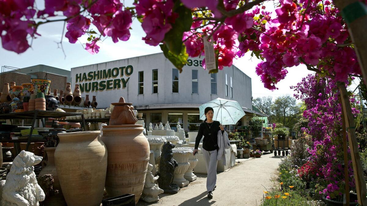 A woman strolls through the Hashimoto Nursery in the Sawtelle neighborhood of West Los Angeles.