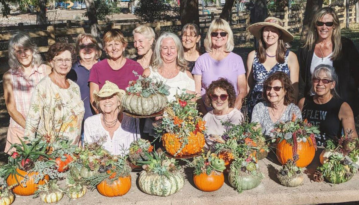 Ramona Garden Club members make succulent pumpkins to sell as a fundraiser for student scholarships.