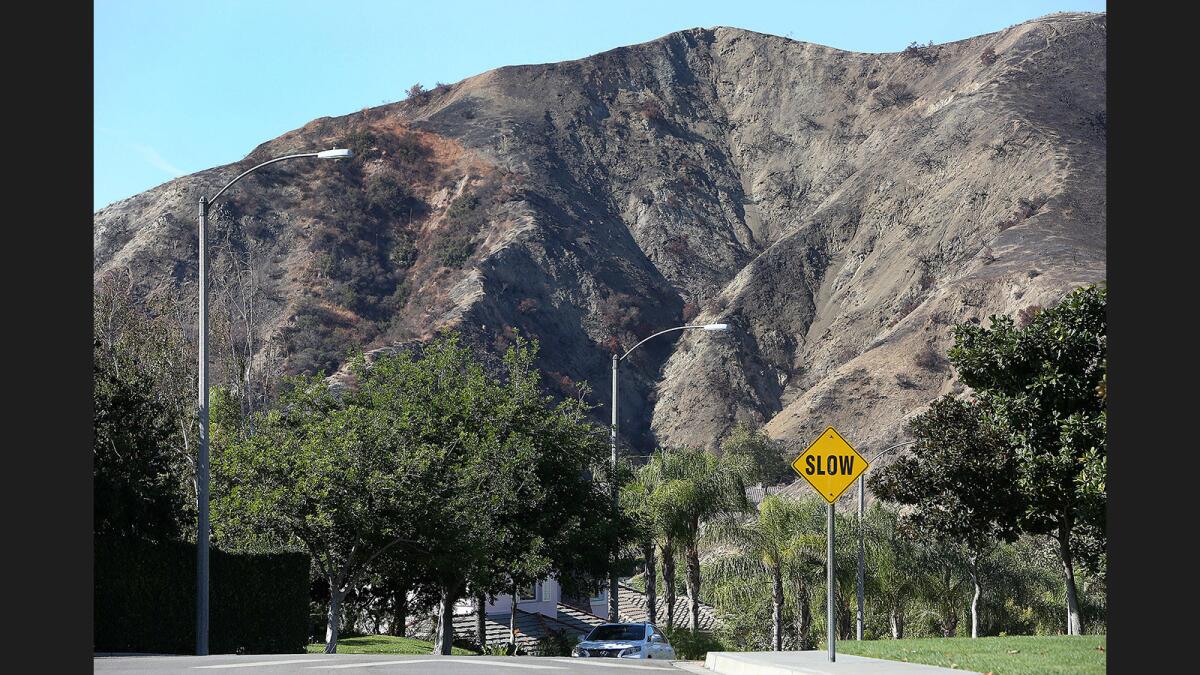 Burned hillsides loom over a neighborhood on Wedgewood Lane in Burbank