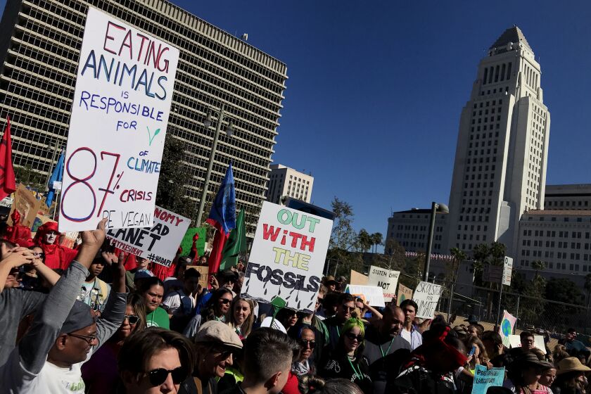 LOS ANGELES, CALIF. - NOV. 1 2019 - Climate march through downtown Los Angeles, including L.A.-based youth activists and Greta Thunberg speaking outside city hall. (Brian van der Brug / Los Angeles Times)