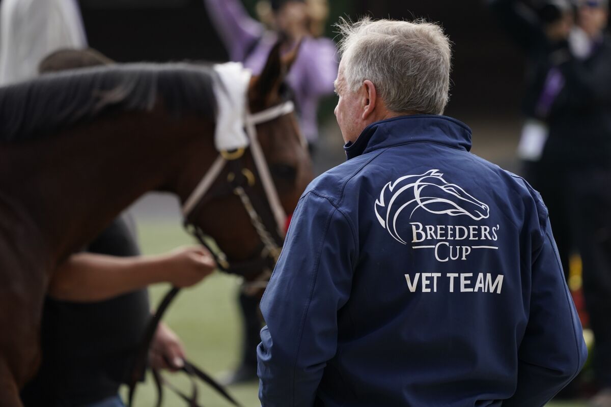 A member of the Breeders' Cup veterinarian team looks on during training before the Breeders' Cup World Championship horse races Wednesday, Nov. 3, 2021, in Del Mar, Calif. For the first time, all 14 Breeders' Cup races this weekend at Del Mar will be run without race-day medication, the final step in a process that had the anti-bleeding medication Lasix prohibited in races for 2-year-olds at last year's world championships. (AP Photo/Gregory Bull)