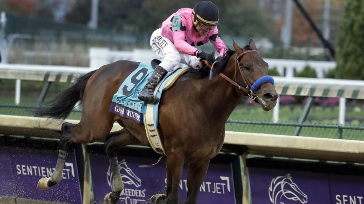 Joel Rosario guides Game Winner to victory in the Breeders' Cup Juvenile on Nov. 2, 2018, at Churchill Downs. Rosario will be aboard Game Winner again Saturday in the Grade 3 $150,000 Los Alamitos Derby.