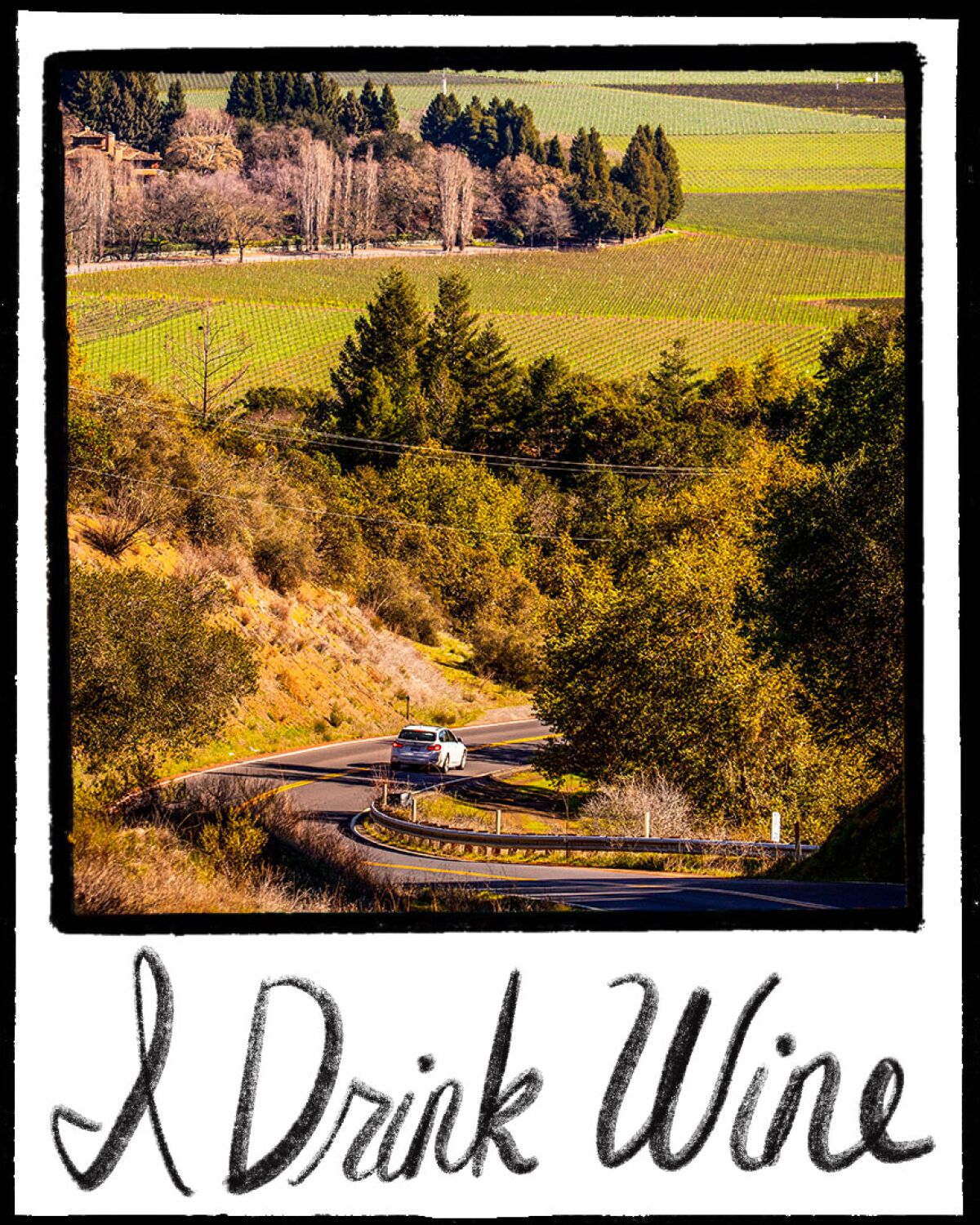 Car drives down a road in Napa Valley, with the words "I drink wine" under the photo.