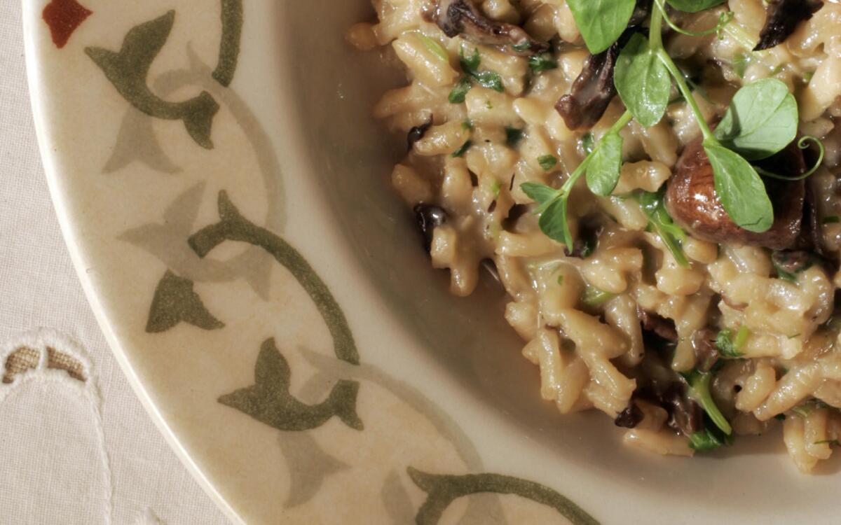 Risotto with mushrooms and pea sprouts