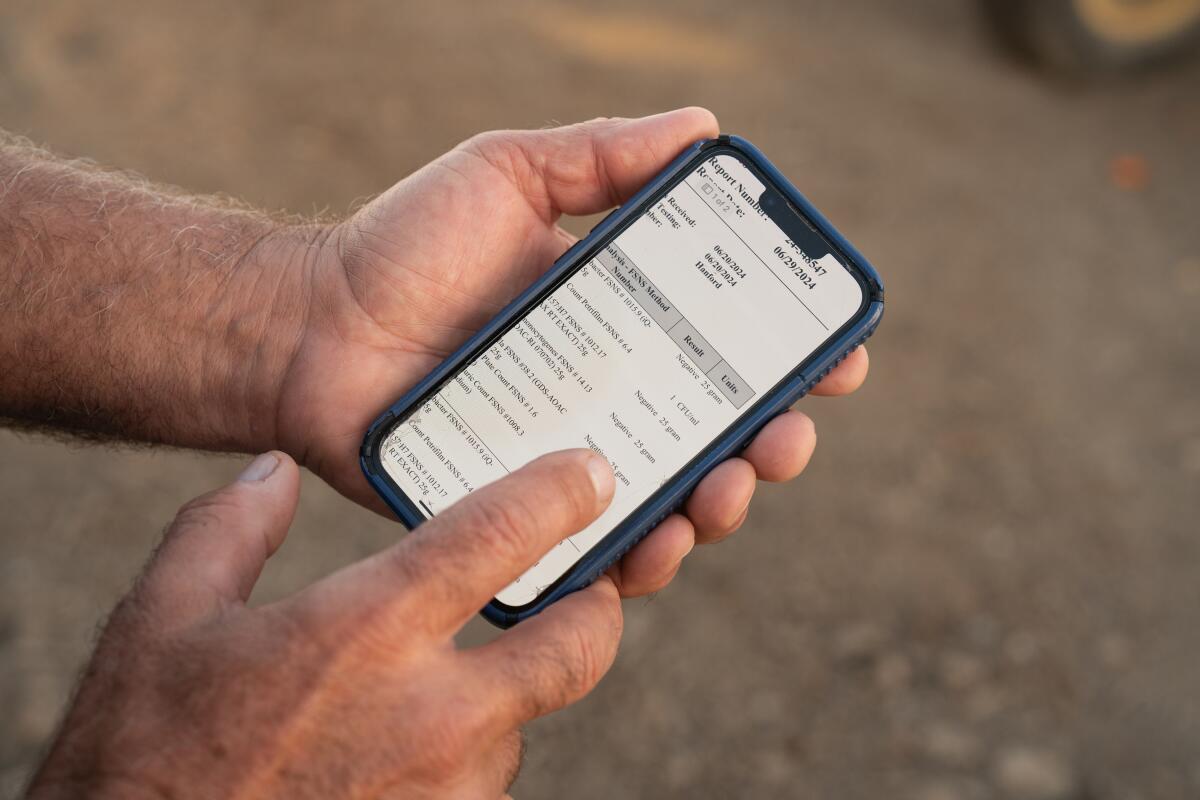 Ele diz que sinalizou surto de H5N1 em rebanho bovino, mas foi ignorado 18 Mark McAfee verifica os níveis de bactérias em seu leite cru todos os dias e gasta mais de US$ 300.000 em testes.