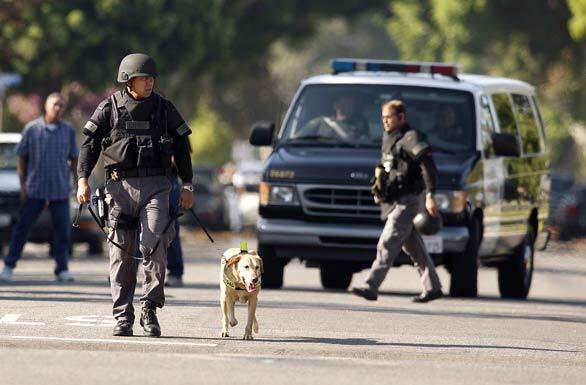 Set Free Raid - explosives sniffing dog
