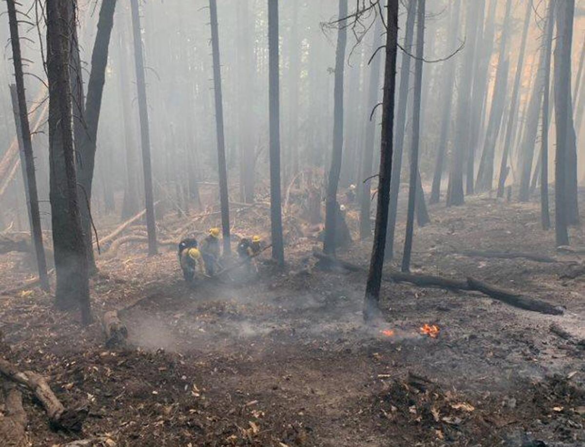 Fire crews work to contain the Six Rivers fire.