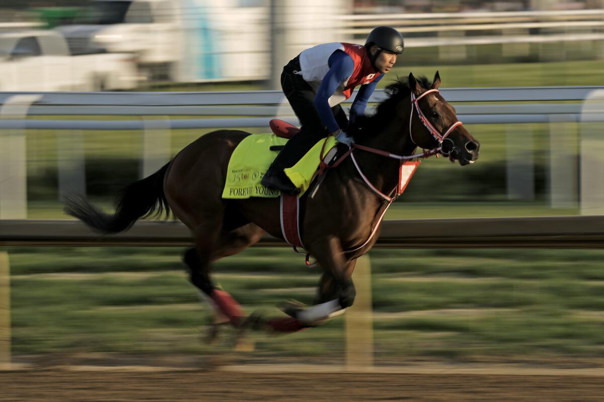 Kentucky Derby hopeful Forever Young works out at Churchill Downs on Monday