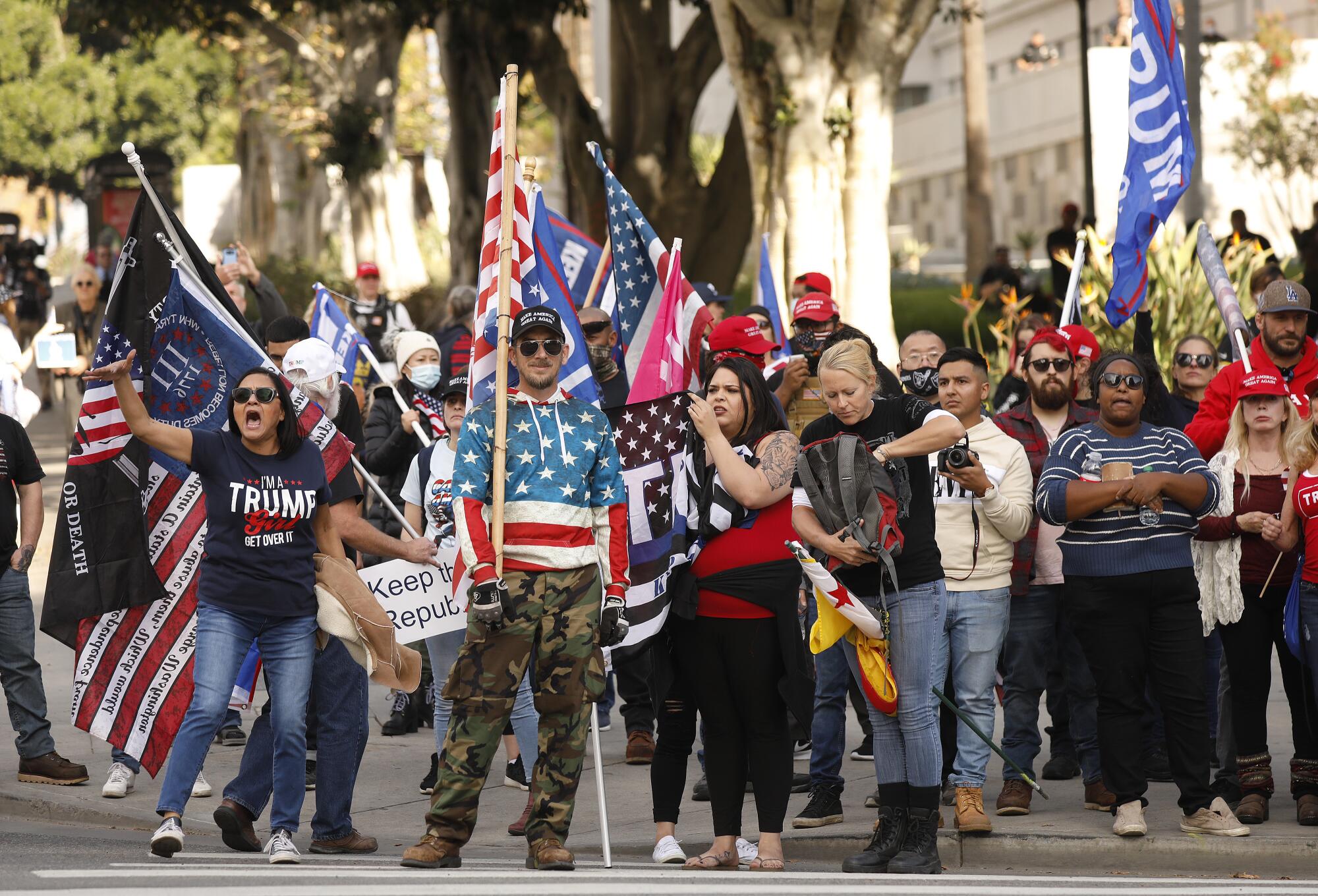 Pro-Trump demonstrators taunt anti-protesters across the street as they rallied outside Los Angeles City Hall.