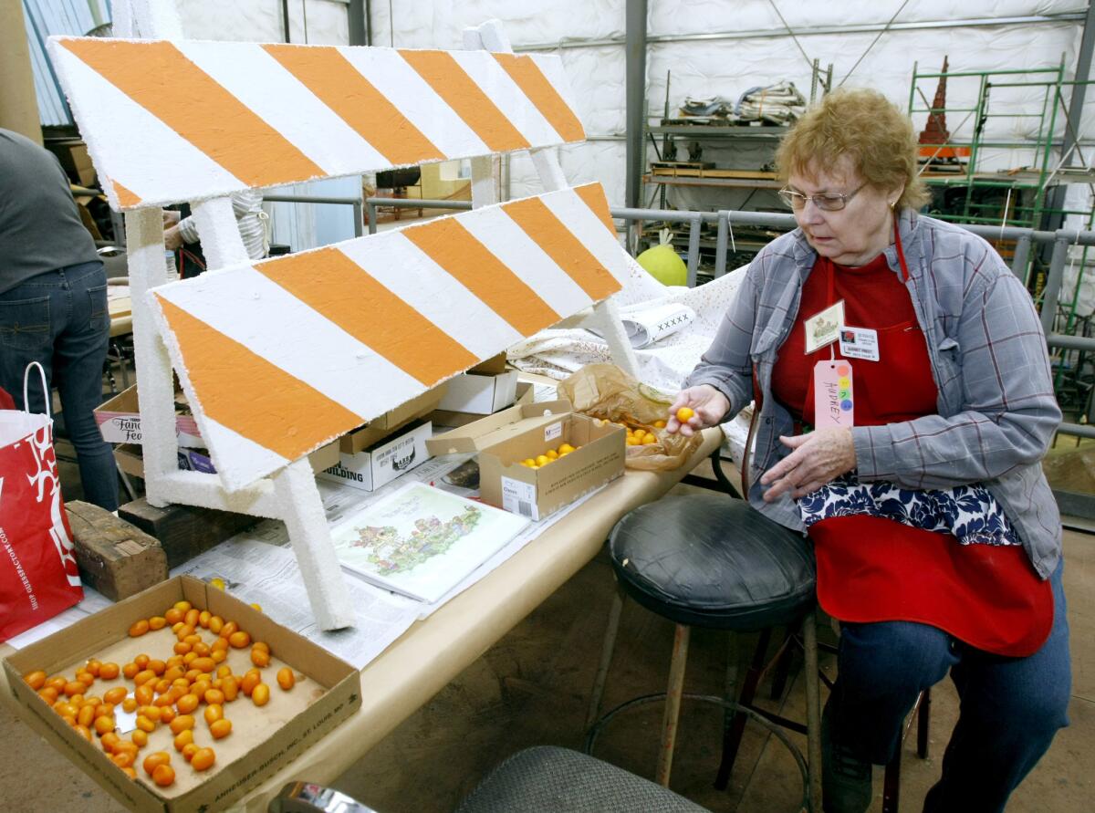 Audrey Prest, chair of the Burbank Tournament of Roses Assn. decorations committee, shows the kumquats sent in by locals that will be used to decorate two barricades for the parade float.