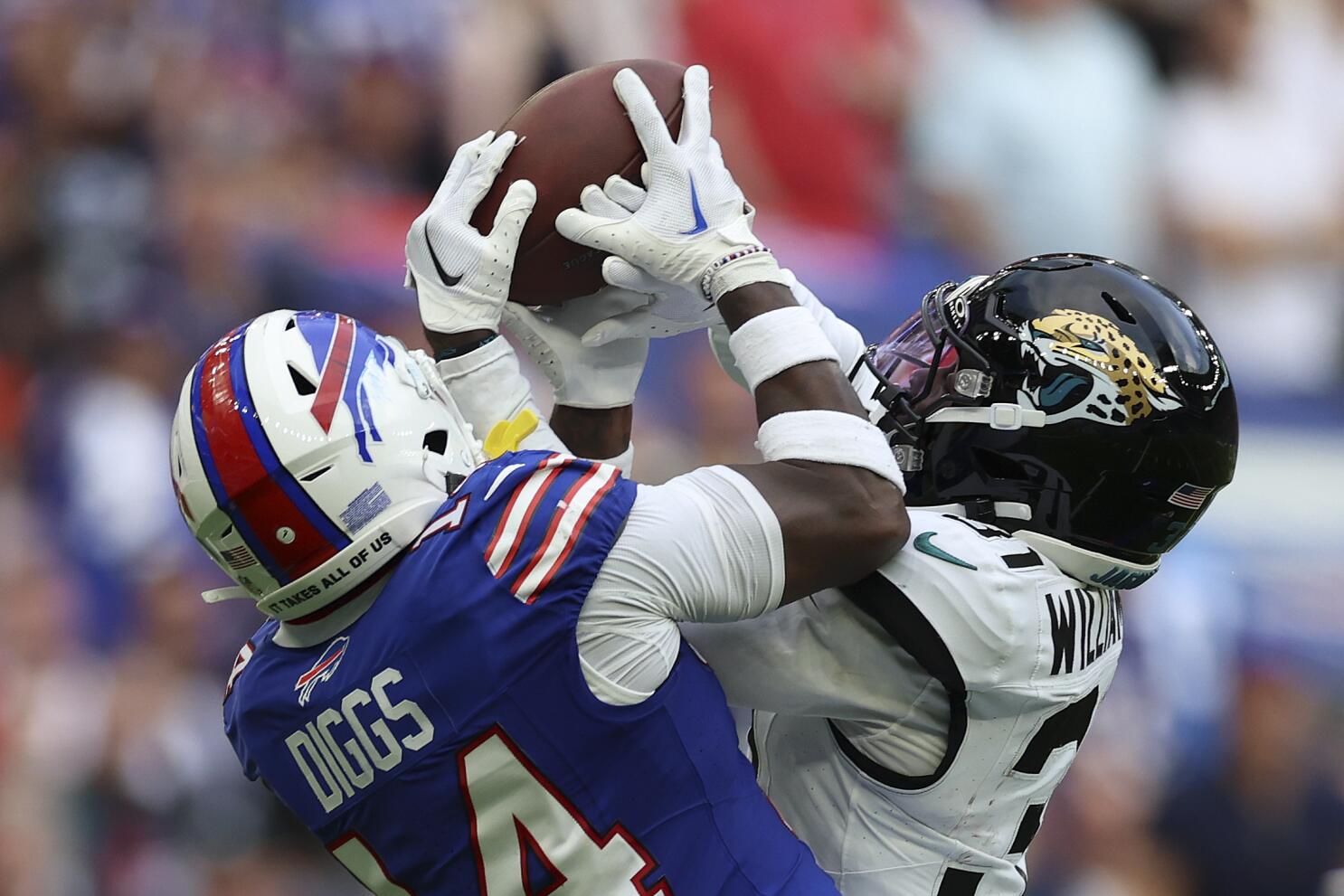 Did anyone else notice this man from the Jags game last week? Do