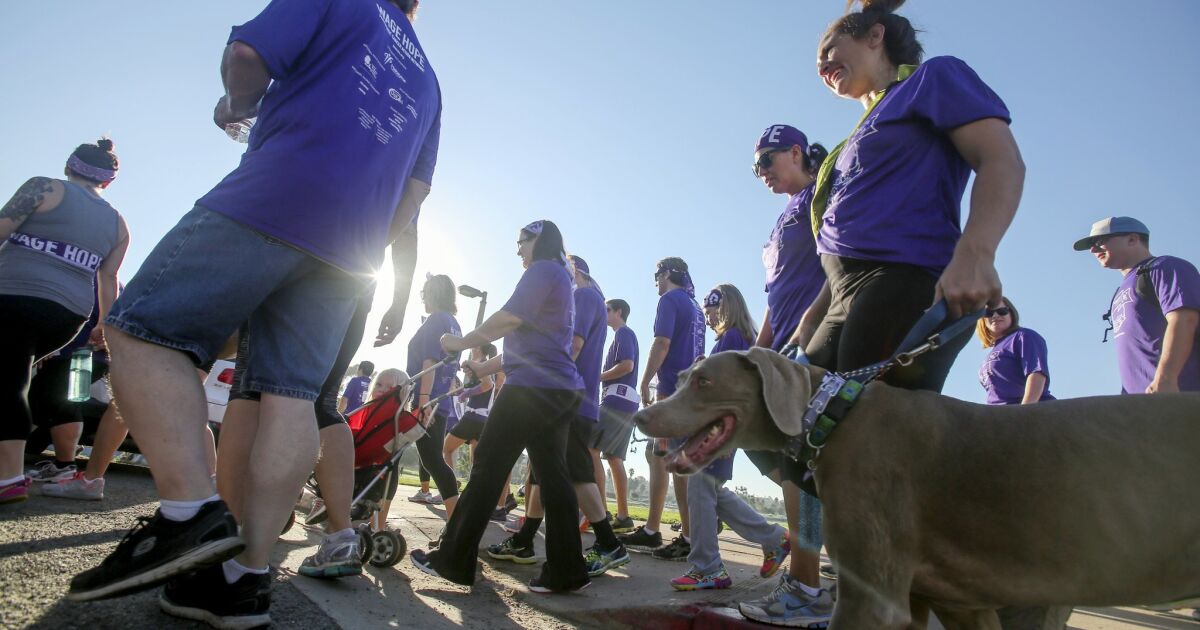 PurpleStride raises 300K for pancreatic cancer research The San Diego