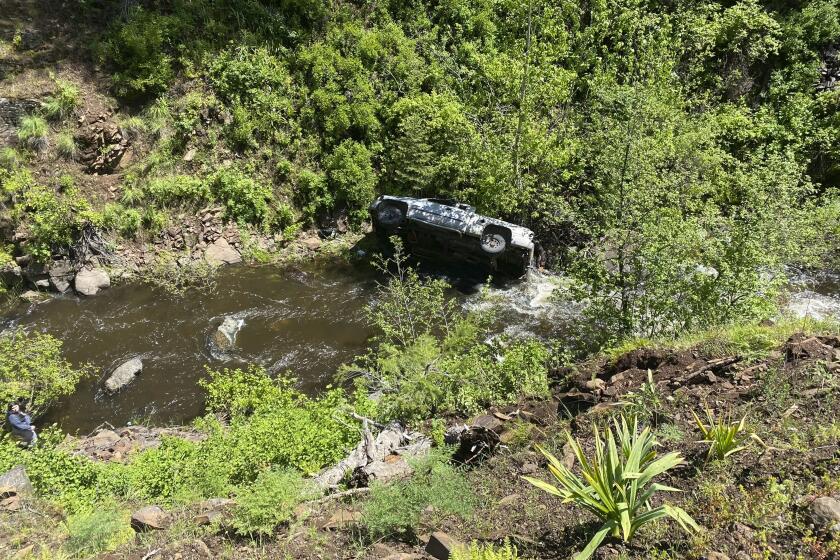 In this image provided by the Baker County Sheriff's Office, a vehicle is seen after it went into an embankment on U.S. Forest Service Road 39 on June 3, 2024, in Oregon. A dog helped his owner get rescued after the crash by traveling nearly four miles to the campsite where the man was staying with family, which alerted them that something was wrong, authorities said. (Baker County Sheriff's Office via AP)