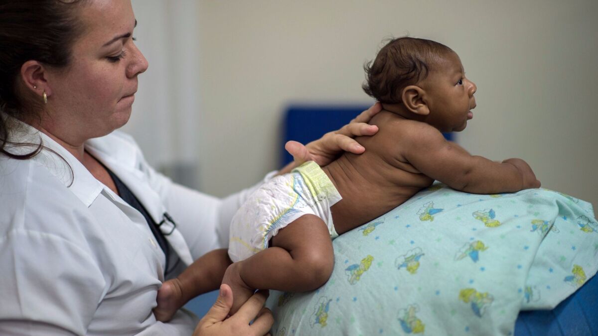 A physical therapist treats a Brazilian child who has microcephaly as a result of the Zika virus. A new study shows that a single mutation in the genome of the virus transformed the once-harmless Zika into a lethal public health threat.
