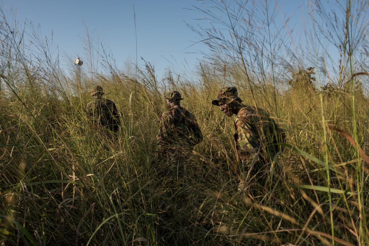 Rangers walk through tall grass during a recon patrol in Congo's Garamba National Park.