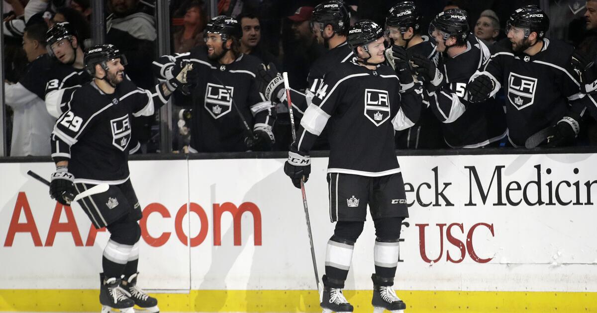 Outdoor NHL games? Kings among teams exploring the option Los Angeles