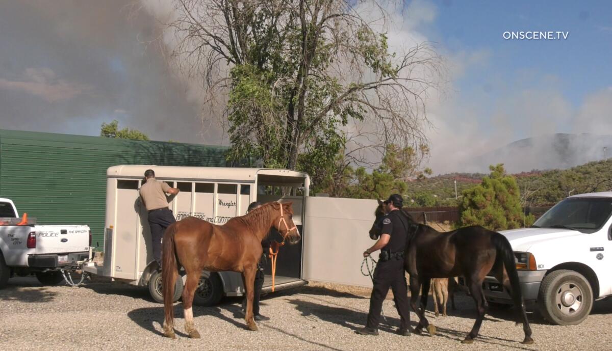 Horses are walked to trailers. In the background are plumes of smoke.