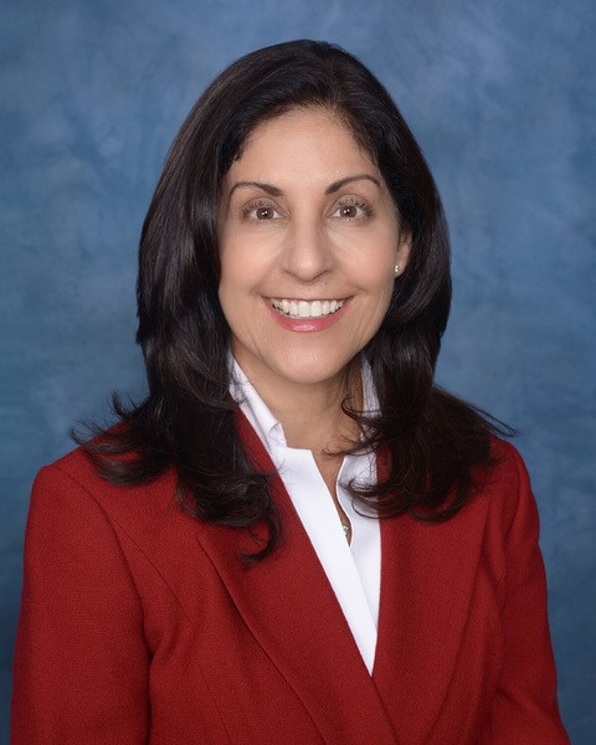 Sharon Spivak is new chair of the City of San Diego Ethics Commission
