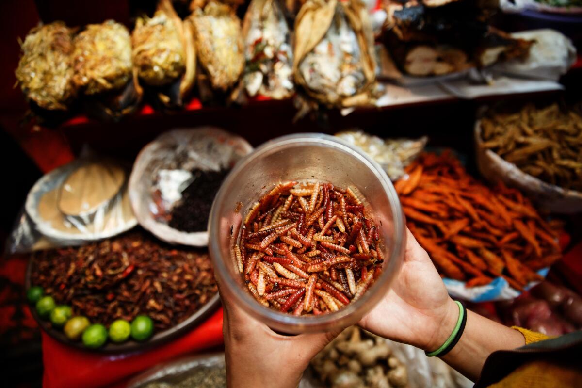At the pre-Hispanic food section, Anais Martinez of Eat Mexico offers Brenda and Ken Black some maguey worms, a type of caterpillar that lives in maguey plants, during a food tour through La Merced Market in Mexico City.