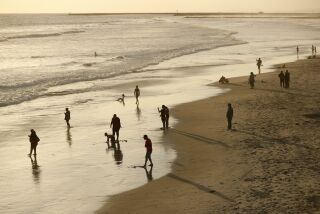 People enjoy an evening along the coast north of the Oceanside Pier on June 29th. Heal the Bay's Beach Report came out and the area near the San Luis Rey River outlet received grades of Summer Dry Grade C, Winter Dry Grade B, and Wet Weather A.