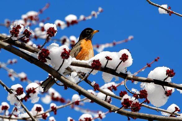 Monday: Day in photos - North Carolina