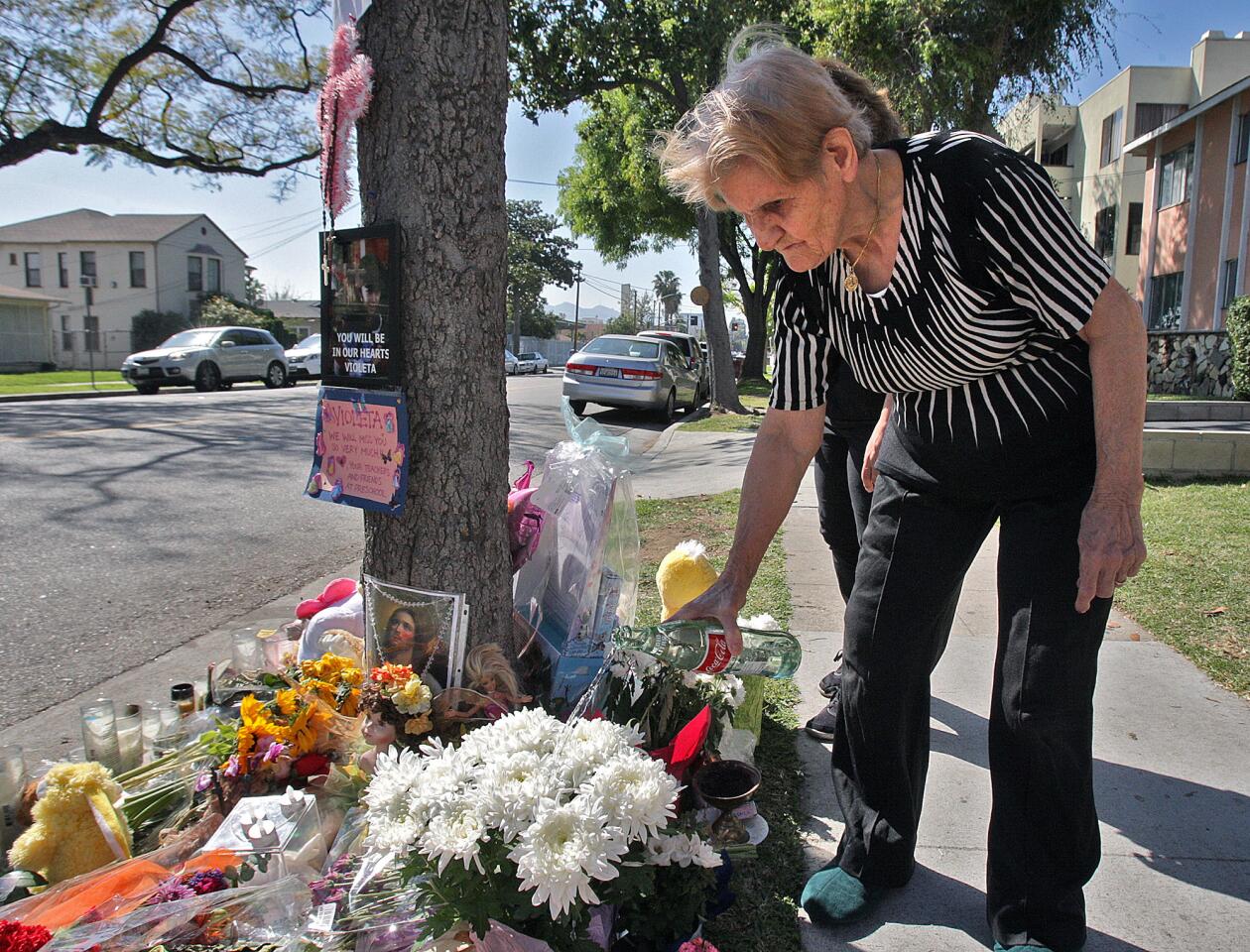 Photo Gallery: Roadside memorial for 4-year-old Violeta Khachaturyan fatally struck by oncoming vehicle