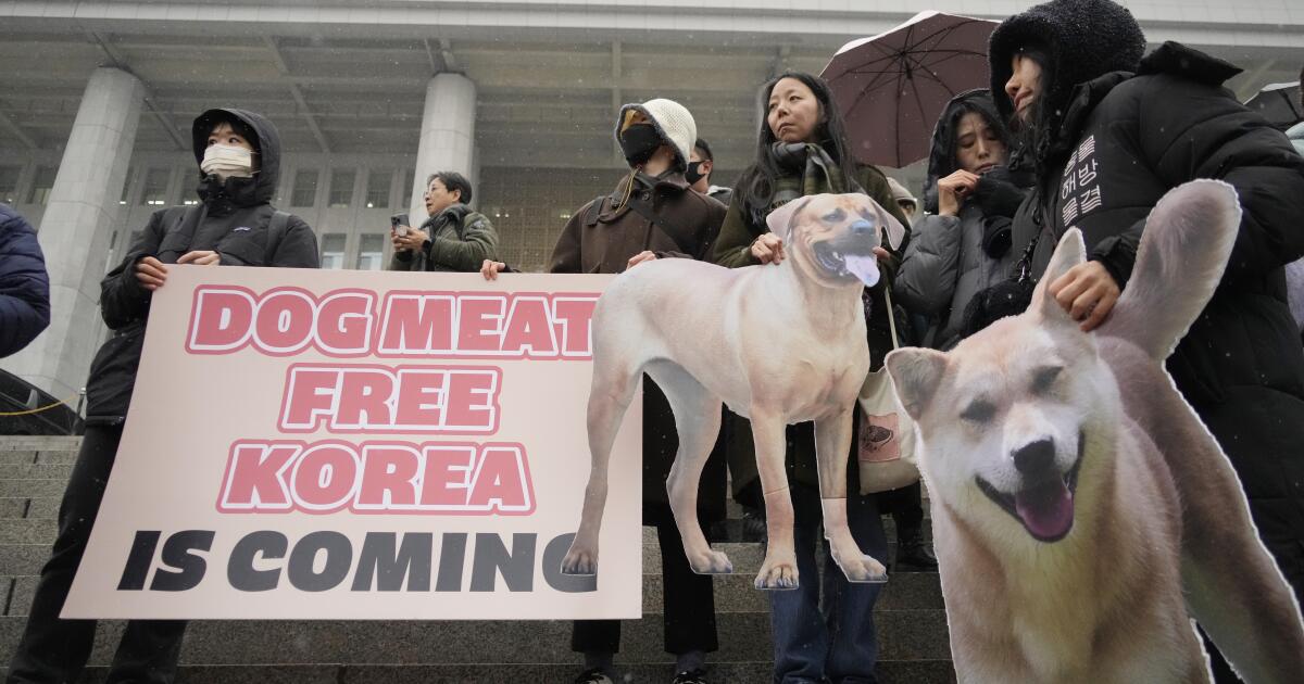 Dog meat trade banned in South Korea as times and attitudes change Dog meat trade banned in South Korea as times and attitudes change