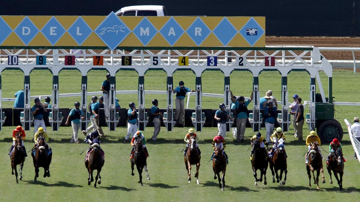 Horses take off from the starting gate at Del Mar.
