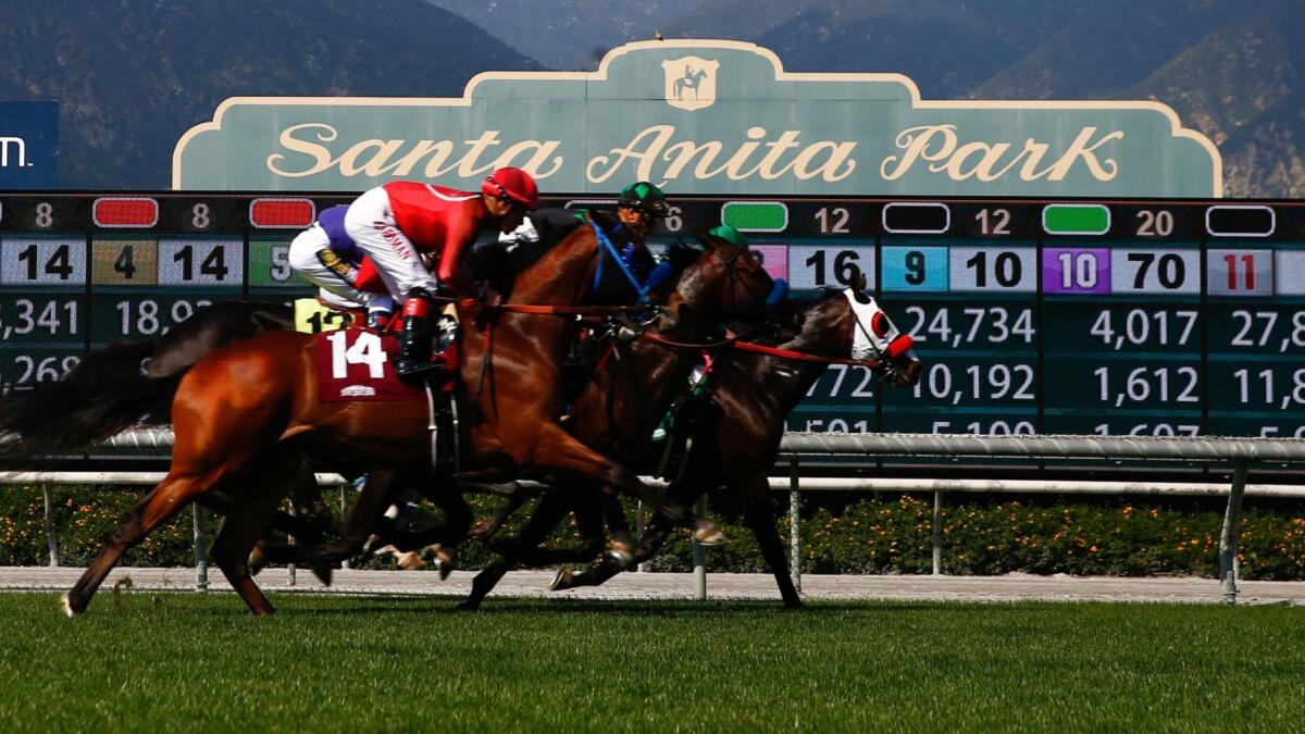 Horses race at Santa Anita Park on April 6. Sen. Dianne Feinstein has once again called for a moratorium on racing at Santa Anita following the latest horse deaths at the track.