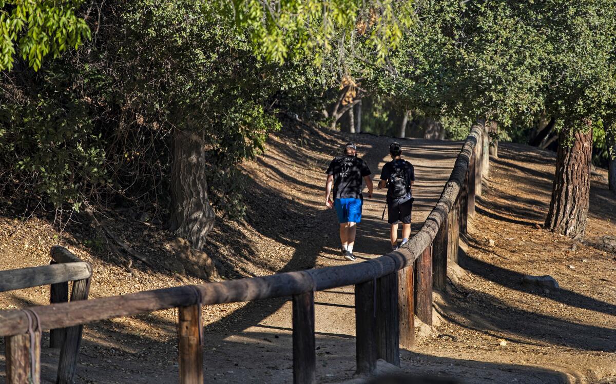 Hikers walk along a trail