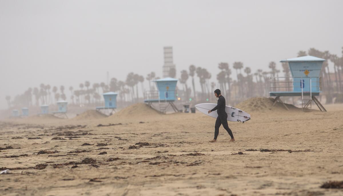 A surfer walks to the waters edge on a nearly deserted beach near the Huntington Beach Pier on Thursday.