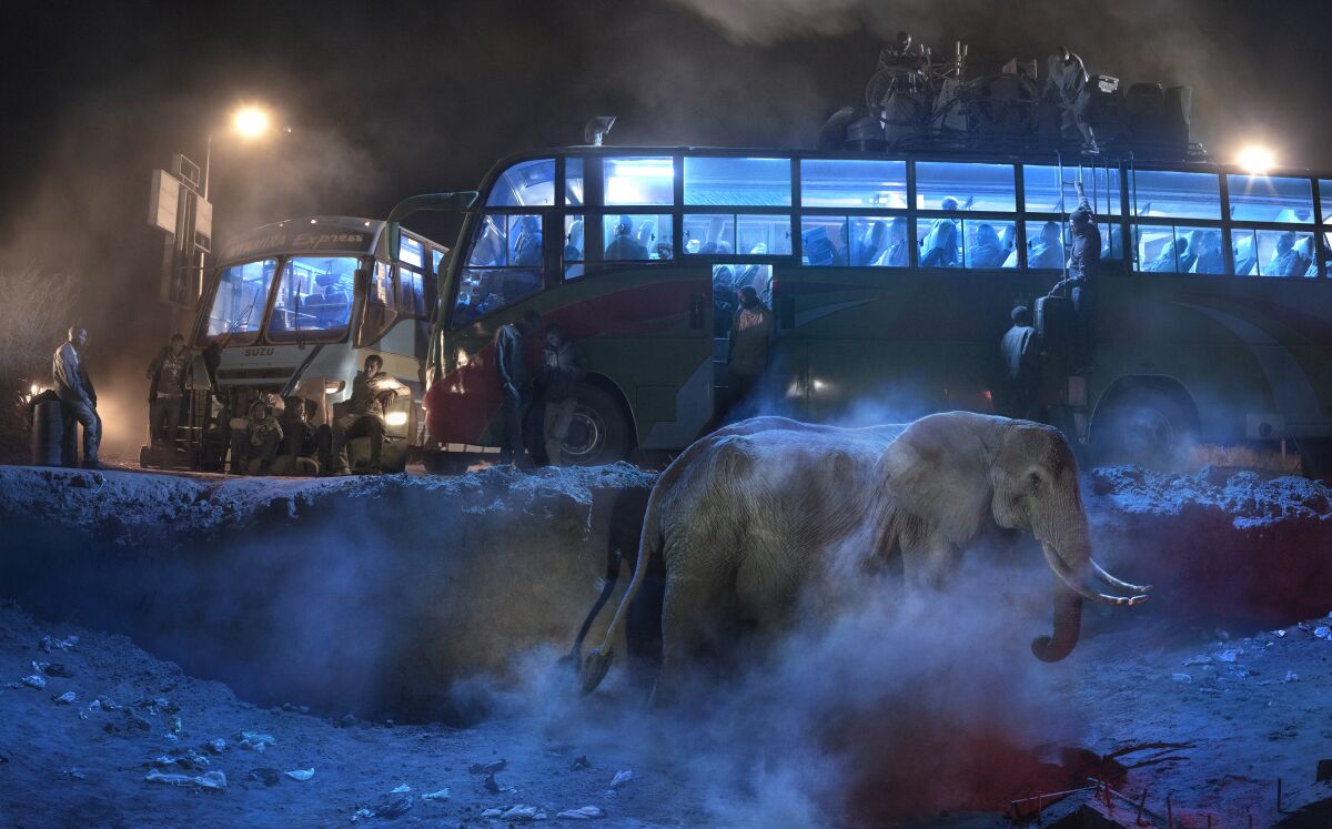 "Bus Station with Elephant in Dust" by Nick Brandt (2019, archival pigment print)
