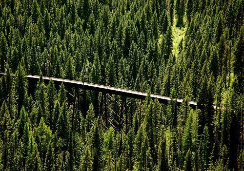 Dwarfed by tall stands of trees and riding trail trestles near the Bitterroot Mountains, two mountain bikers tackle the old Hiawatha rail route at the Montana- Idaho border.